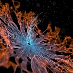 The Biggest Design Trends of 2022